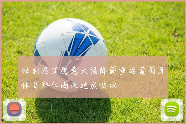 帕利尼亚愿意大幅降薪重返葡萄牙体育拜仁尚未达成协议